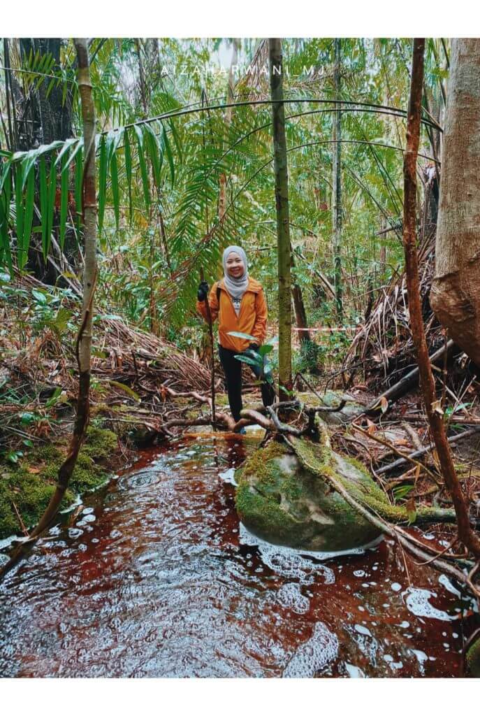 Gunung kelambu lang