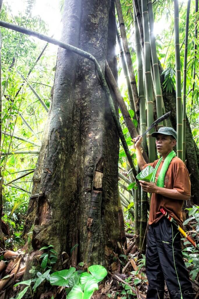 Cerita Di Sebalik Banjaran Bengoh, Hidden Gem Umpama Jurassic World Di Sarawak 