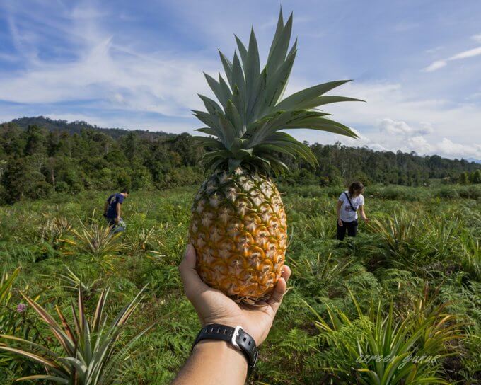 Stargazing Atas Puncak Bukit, Lelaki Ini Kongsi 11 Perkara Menarik Dan Best Di Bario