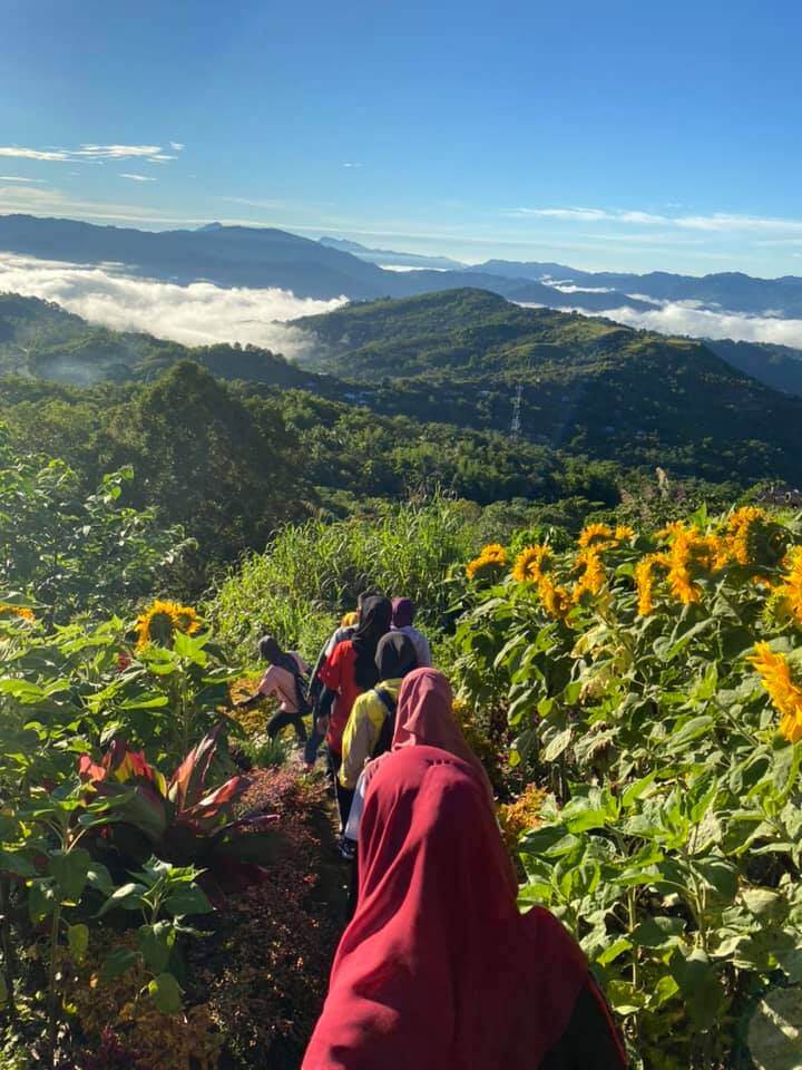 Lihat Pemandangan 2-In-1 Sunrise Dan Bunga Matahari Atas Bukit Kimondou, Sabah