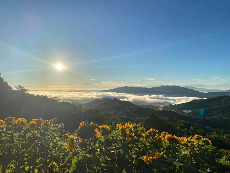 Lihat Pemandangan 2-In-1 Sunrise Dan Bunga Matahari Atas Bukit Kimondou, Sabah