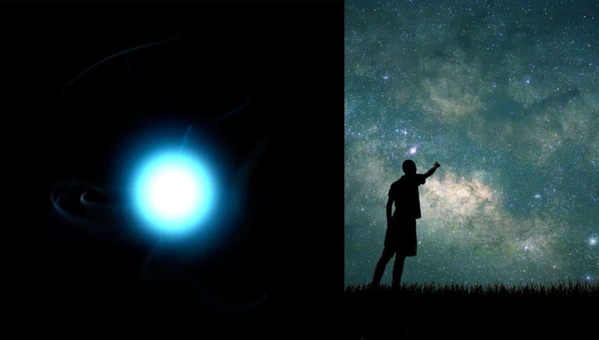 Apa Sebenarnya Polong, Bebola Api Yang Dianggap Mistik Oleh Rakyat Malaysia