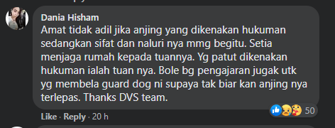 Anjing Pitbull Gigit Wanita Hingga Parah, Netizen Gesa Pemilik Anjing Didenda