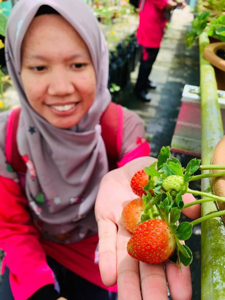 Umpama Berada Di Switzerland, Gadis Ini Kongsi Pengalaman Bercuti Di Tanah Tinggi Ba'kelalan, Lawas