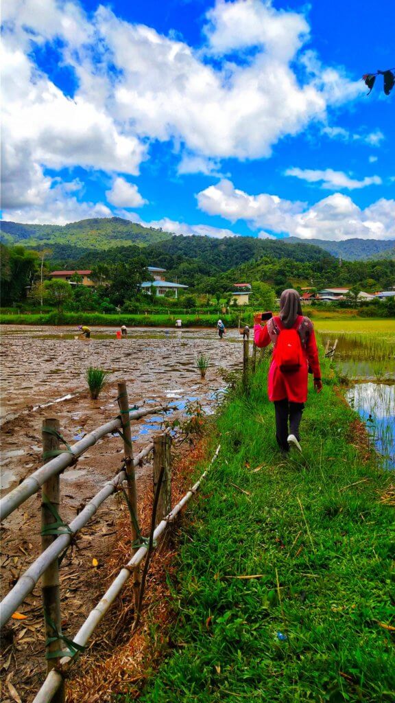Umpama Berada Di Switzerland, Gadis Ini Kongsi Pengalaman Bercuti Di Tanah Tinggi Ba'kelalan, Lawas
