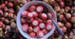 Kenali 4 Jenis Buah Rare Yang Hanya Boleh Anda Temui Di Sarawak