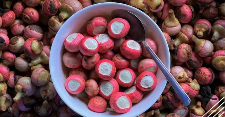 Kenali 4 Jenis Buah Rare Yang Hanya Boleh Anda Temui Di Sarawak