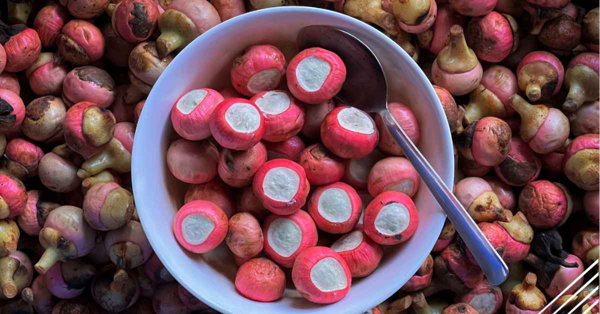 Kenali 4 Jenis Buah Rare Yang Hanya Boleh Anda Temui Di Sarawak