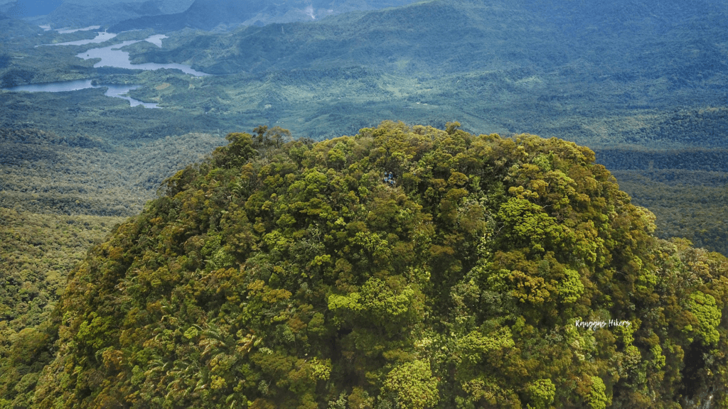 Laluan Mencanak Yang Ekstrim Untuk Pendaki Tegar, Gunung Tajul Manuk Tarikan Terbaru Di Banjaran Bengoh