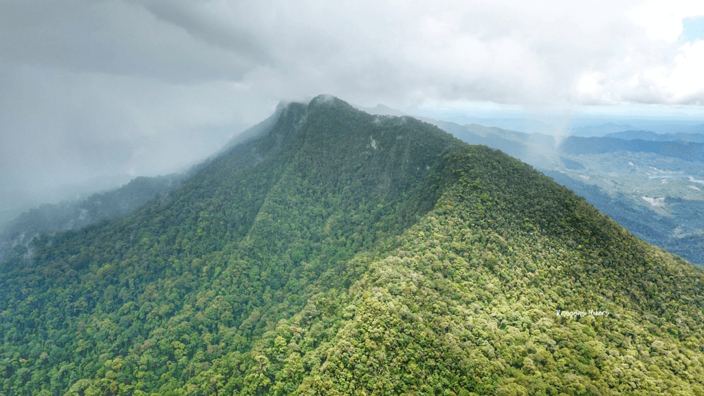 Laluan Mencanak Yang Ekstrim Untuk Pendaki Tegar, Gunung Tajul Manuk Tarikan Terbaru Di Banjaran Bengoh