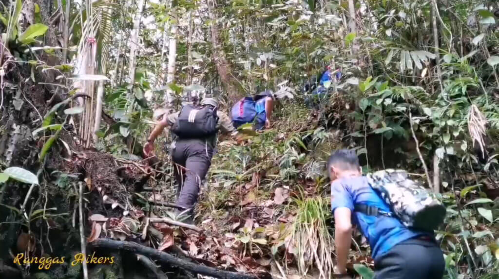 Laluan Mencanak Yang Ekstrim Untuk Pendaki Tegar, Gunung Tajul Manuk Tarikan Terbaru Di Banjaran Bengoh