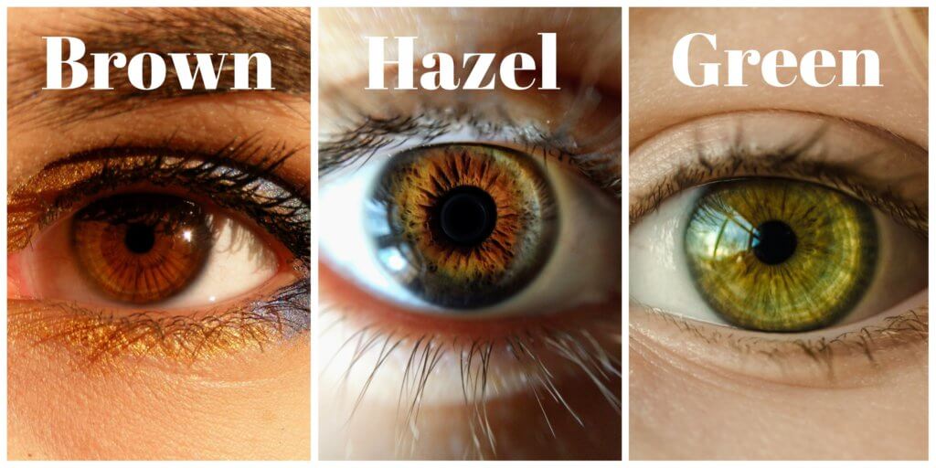 collage hazel 1 Ini Adalah 7 Fakta Menarik Tentang Warna Mata Anda Mungkin Tak Tahu