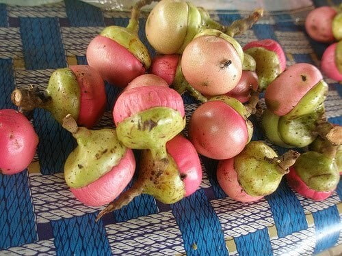 Kenali 4 Jenis Buah Rare Yang Hanya Boleh Anda Temui Di Sarawak