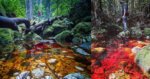 Aliran Air Sungai Berwarna Merah, Anda Pasti Kagum Dengan Balung Lost World Di Tawau