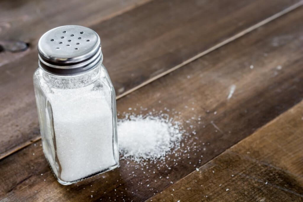 salt shaker Elakkan Memberi Makanan Masin Terlalu Banyak Kepada Haiwan Kesayangan Anda, Inilah Sebabnya