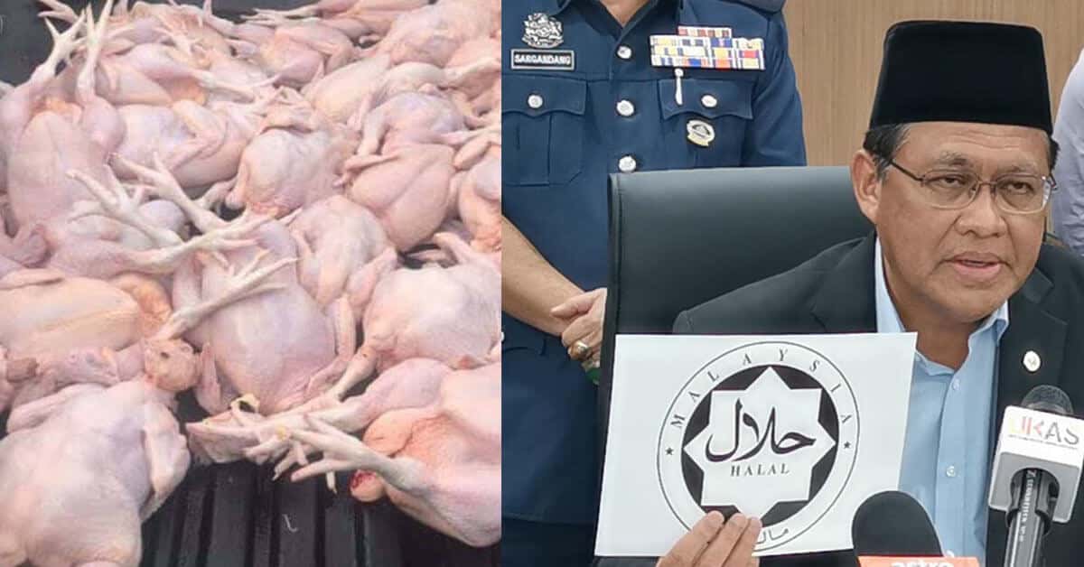 Penjualan Daging Ayam Import Tidak Dibenarkan Di Sarawak Kerana Bekalan Tempatan Sudah Mencukupi Bekalan Tempatan Sudah Mencukupi, Penjualan Daging Ayam Import Tidak Dibenarkan Di Sarawak