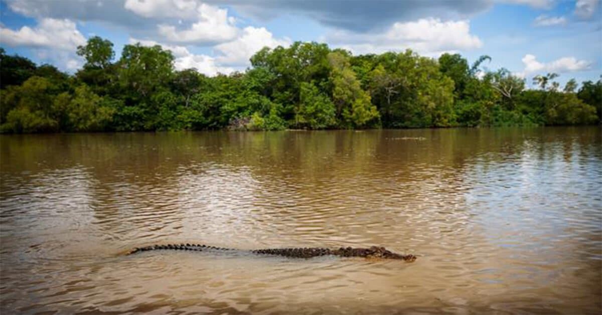 Dibaham Buaya Semasa Mandi Sungai, Kanak-Kanak Lelaki Maut
