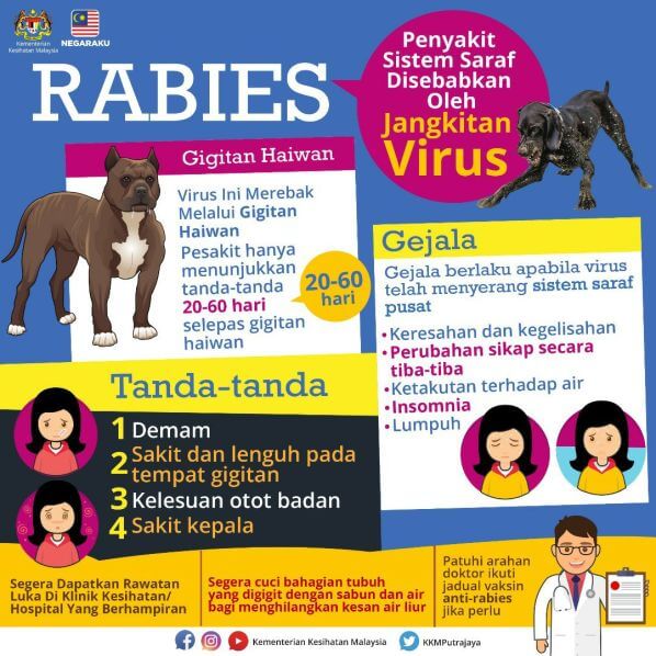 2 Kes Rabies Dilaporkan, Menjadikan Jumlah Kes Rabies Di Sarawak 8