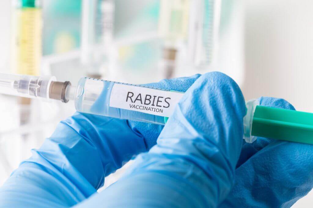 2 Kes Rabies Dilaporkan, Menjadikan Jumlah Kes Rabies Di Sarawak 8 Orang Pada Tahun 2020