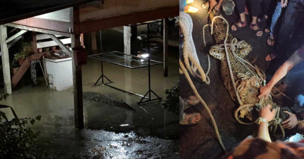 2021 Belum Sampai Sebulan, Ini 11 Insiden Dan Peristiwa Tular Berlaku Di Sarawak Awal Januari Ini 10 2021 Belum Sampai Sebulan, Ini 11 Insiden Dan Peristiwa Tular Berlaku Di Sarawak Awal Januari Ini