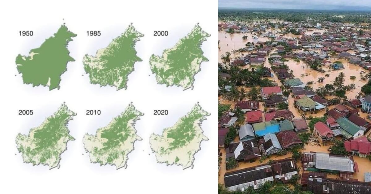 BeFunky collage 30 Kalimantan Selatan Turut Dilanda Banjir Teruk, Lelaki Ini Dedah Peta Pulau Borneo Yang Semakin Gondol