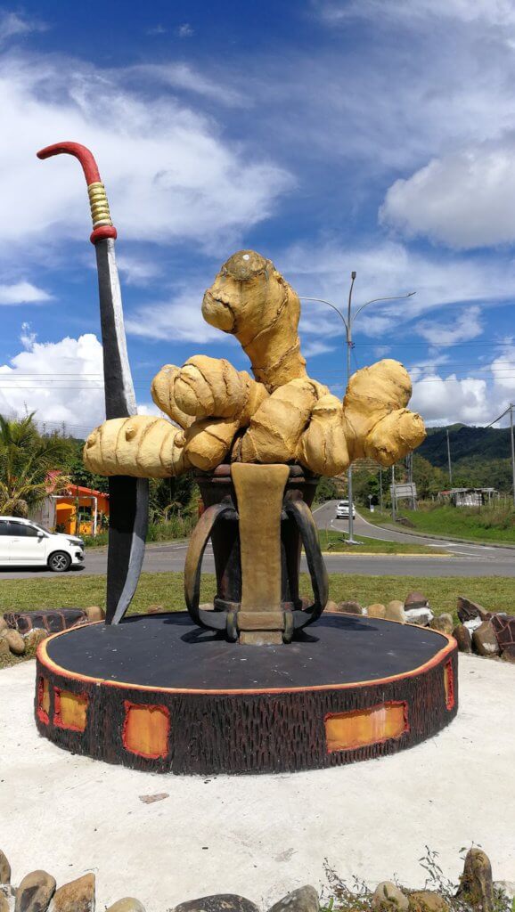 Hasilkan Ginger Beer Tanpa Alkohol, Dua Sekawan Dari Sabah Ini Manfaatkan Halia Tambunan Jadi Jenama Minuman 7 Hasilkan Ginger Beer Tanpa Alkohol, Dua Sekawan Dari Sabah Ini Manfaatkan Halia Tambunan Jadi Jenama Minuman