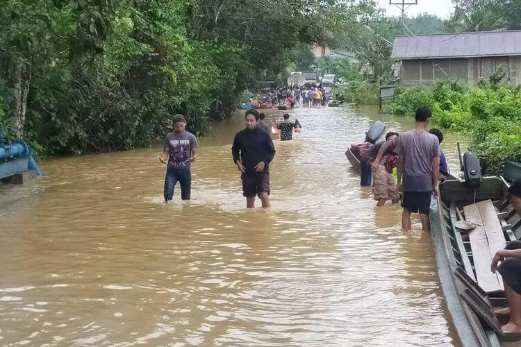 Banjir Besar Akibat Ladang Sawit, Pemerintah Di Kalimantan Barat Dakwa Punca Dari Sarawak