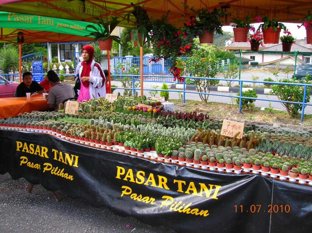 Pasar Tani Dan Pasar Tamu Tidak Dibenarkan Beroperasi Di Kawasan Zon Merah, Sarawak