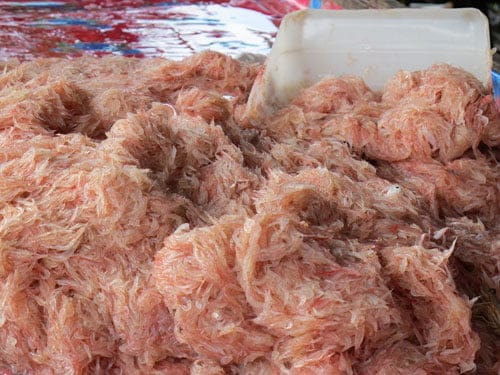 Ini 5 Fakta Menarik Tentang Udang Geragau Atau Bubuk Sarawak Yang Anda Perlu Tahu 8 Ini 5 Fakta Menarik Tentang Udang Geragau Atau Bubuk Sarawak Yang Anda Perlu Tahu