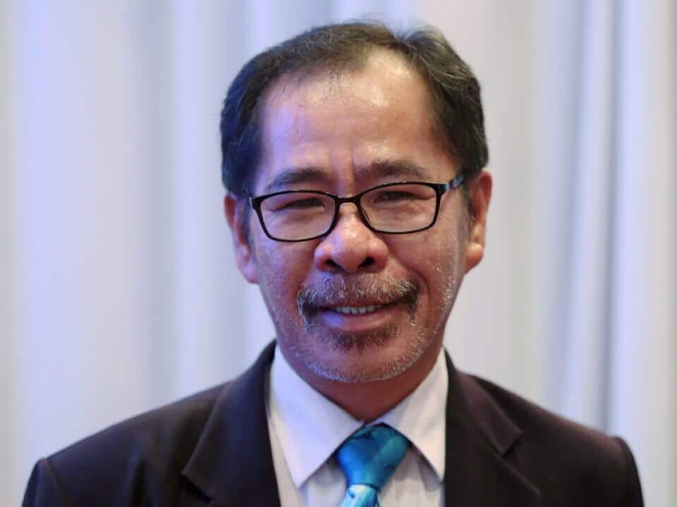Demam Babi Afrika Ragut Hampir 100 Ekor Babi Berjanggut Borneo Di Sabah