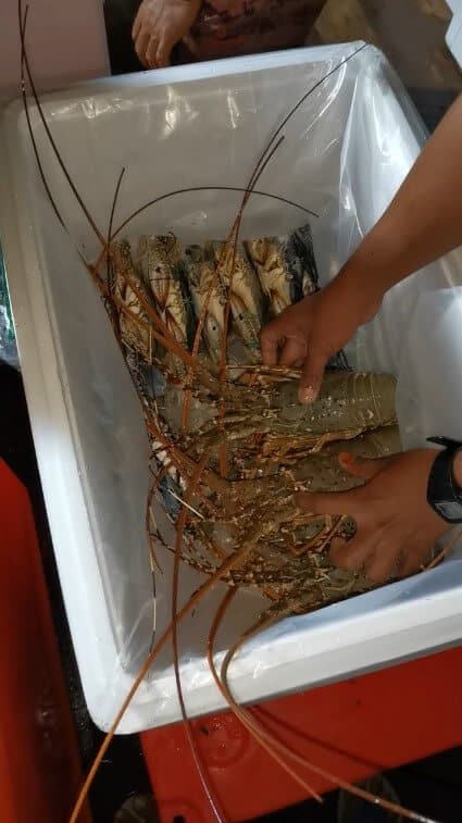 Kurang 24 Jam, Perniagaan Sosial Ini Pastikan Hasil Laut Segar Sabah Sampai Depan Pintu Rumah Anda