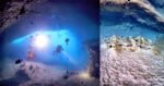 Keunikan Turtle Cave Di Pulau Sipadan Sabah, Satu-Satunya Makam Penyu Di Dunia