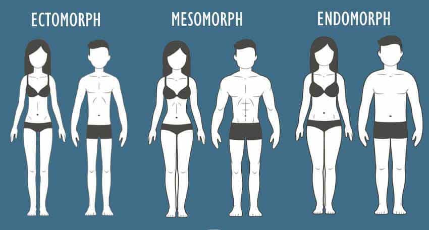Ini 3 Jenis Badan Dan Bagaimana Masing-Masing Mempengaruhi Badan Anda Semasa Bersenam 8 body type buy hcg online Ini 3 Jenis Badan Dan Bagaimana Masing-Masing Mempengaruhi Badan Anda Semasa Bersenam