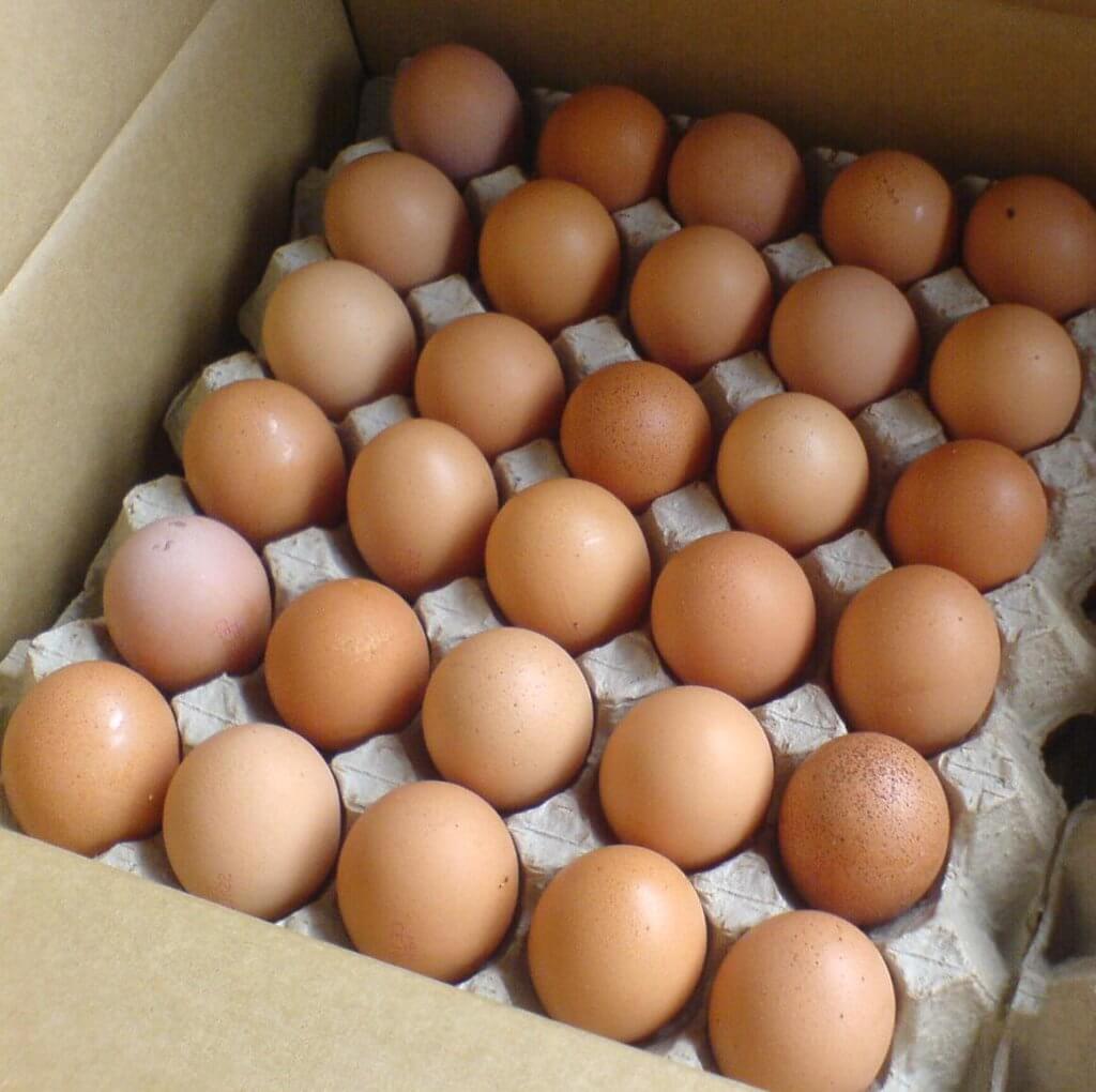 Tiada Salmonella Dikesan, Telur Ayam Di Pasaran Sarawak Dijamin Selamat Dimakan
