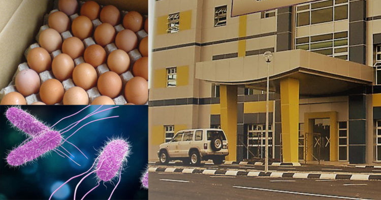 telur Tiada Salmonella Dikesan, Telur Ayam Di Pasaran Sarawak Dijamin Selamat Dimakan