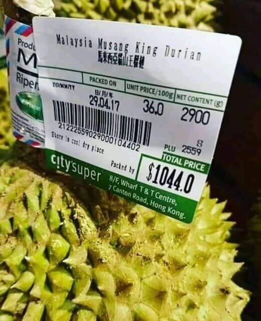59814870 848516665486643 3808203439570157568 n Durian Yang Paling Dicari, Inilah Sebab Mengapa Durian Musang King Adalah Durian Termahal