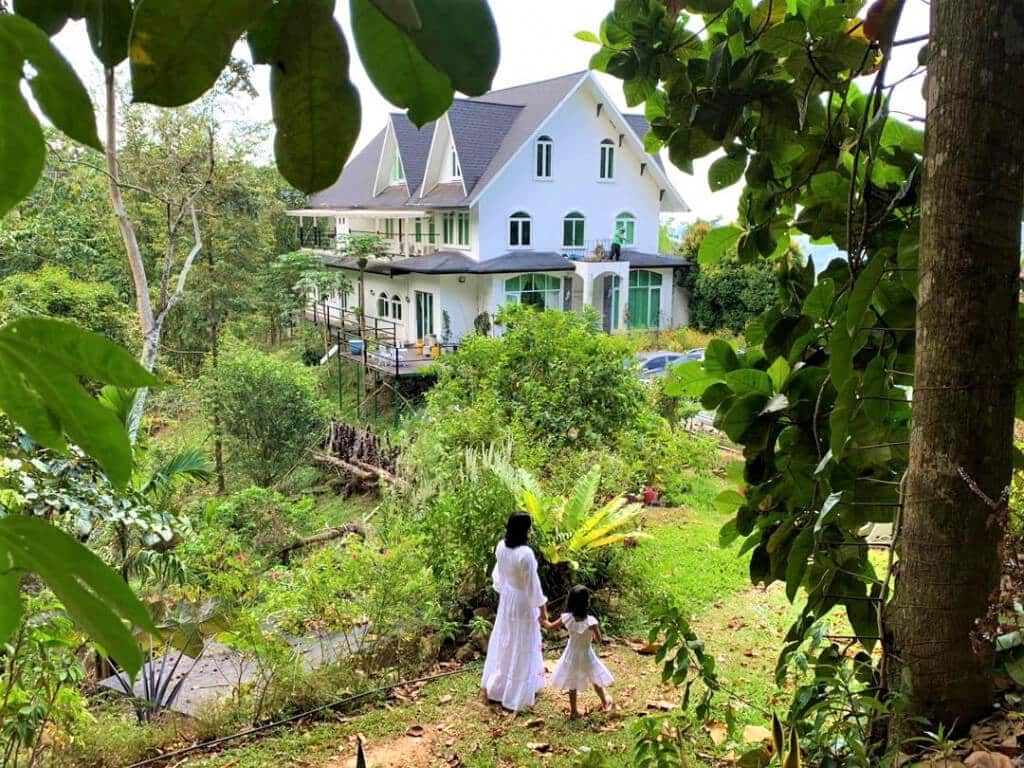 Hutan Kokol Hobbiton Tawarkan Pengalaman Ala-Ala Di England