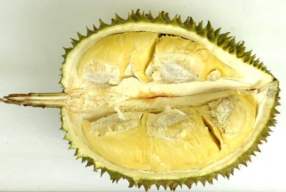 Isi D169 edited Durian Yang Paling Dicari, Inilah Sebab Mengapa Durian Musang King Adalah Durian Termahal