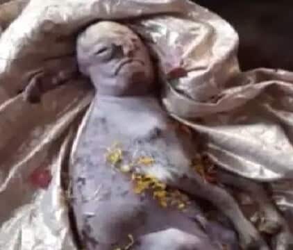 Anak Kambing Dilahirkan Berwajah Manusia, Dipuja Bagai Tuhan Oleh Penduduk Kampung