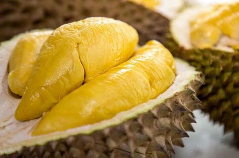 musang king 1573545224 Durian Yang Paling Dicari, Inilah Sebab Mengapa Durian Musang King Adalah Durian Termahal