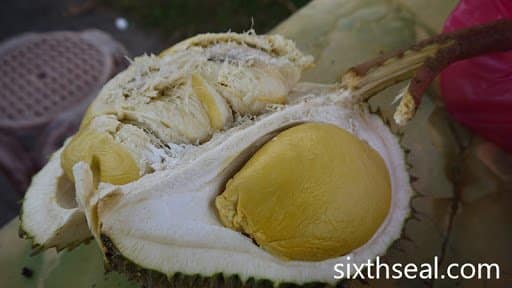 unnamed 7 Durian Yang Paling Dicari, Inilah Sebab Mengapa Durian Musang King Adalah Durian Termahal