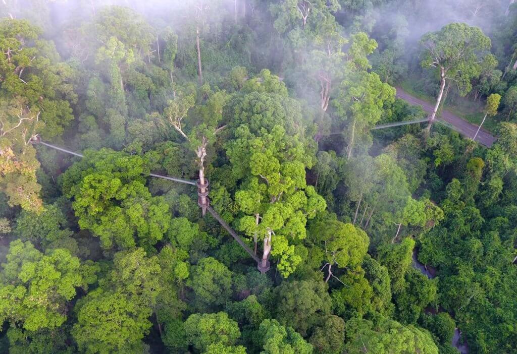 9 Fakta Menarik Tentang Pulau Borneo Yang Ramai Tidak Tahu