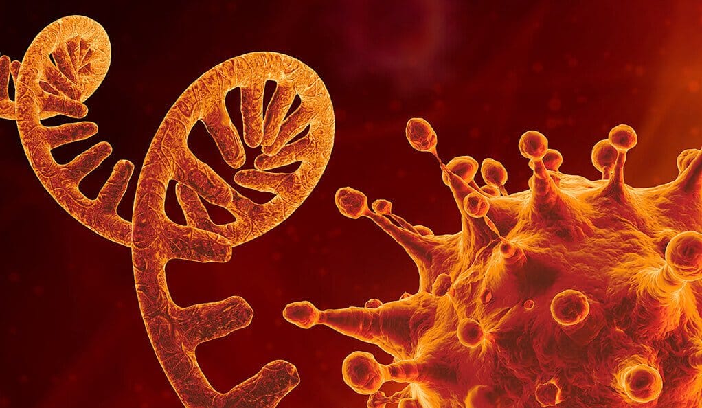 Koronavirus Baharu Ditemui Di Sarawak, Melibatkan Transmisi Antara Haiwan Dan Manusia