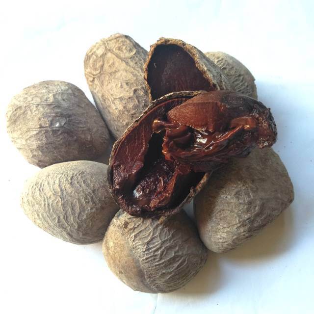 Boleh Memabukkan Apabila Dimakan Mentah, Kenali Buah Kepayang Yang Hanya Ditemui Di Asia Tenggara