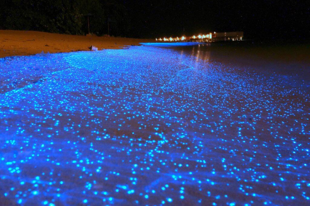 Terasa Seperti Bercuti Ke Luar Negara, Anda Boleh Lihat Fenomena 'Blue Tears' Di 5 Lokasi Dalam Malaysia