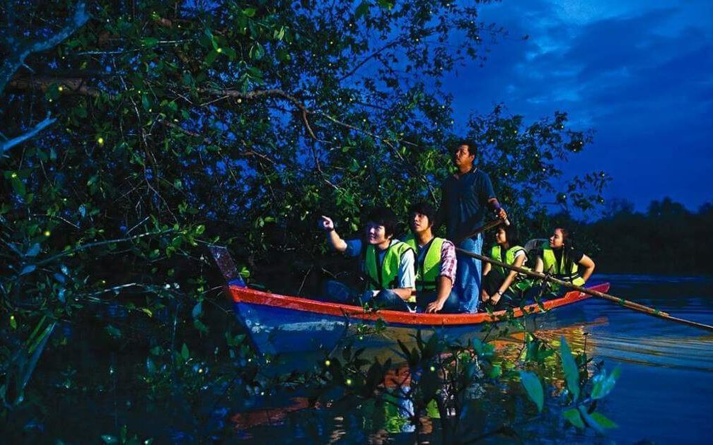 Terasa Seperti Bercuti Ke Luar Negara, Anda Boleh Lihat Fenomena 'Blue Tears' Di 5 Lokasi Dalam Malaysia