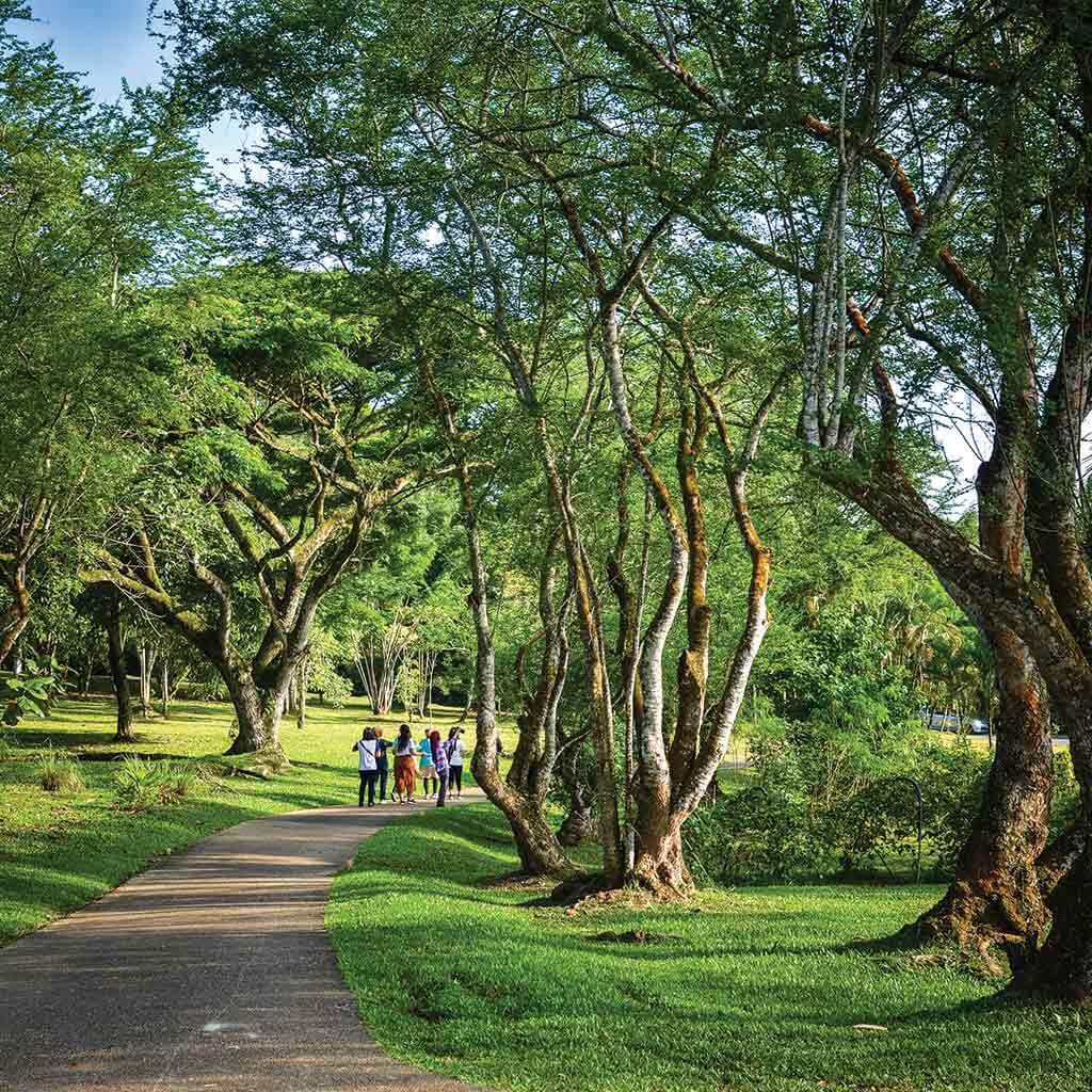 Ini Adalah 6 Tempat Rekreasi Santai Paling Sesuai Untuk Beriadah Di Kuching