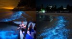 Terasa Seperti Bercuti Ke Luar Negara, Anda Boleh Lihat Fenomena 'Blue Tears' Di 5 Lokasi Dalam Malaysia