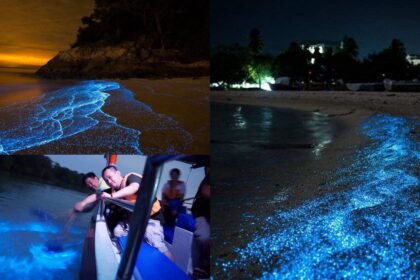 Terasa Seperti Bercuti Ke Luar Negara, Anda Boleh Lihat Fenomena 'Blue Tears' Di 5 Lokasi Dalam Malaysia