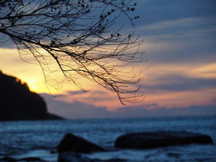 Terasa Seperti Bercuti Ke Luar Negara, Anda Boleh Melihat Fenomena 'Blue Tears' Di Malaysia